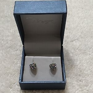 Chic Multicolor Heart Earrings